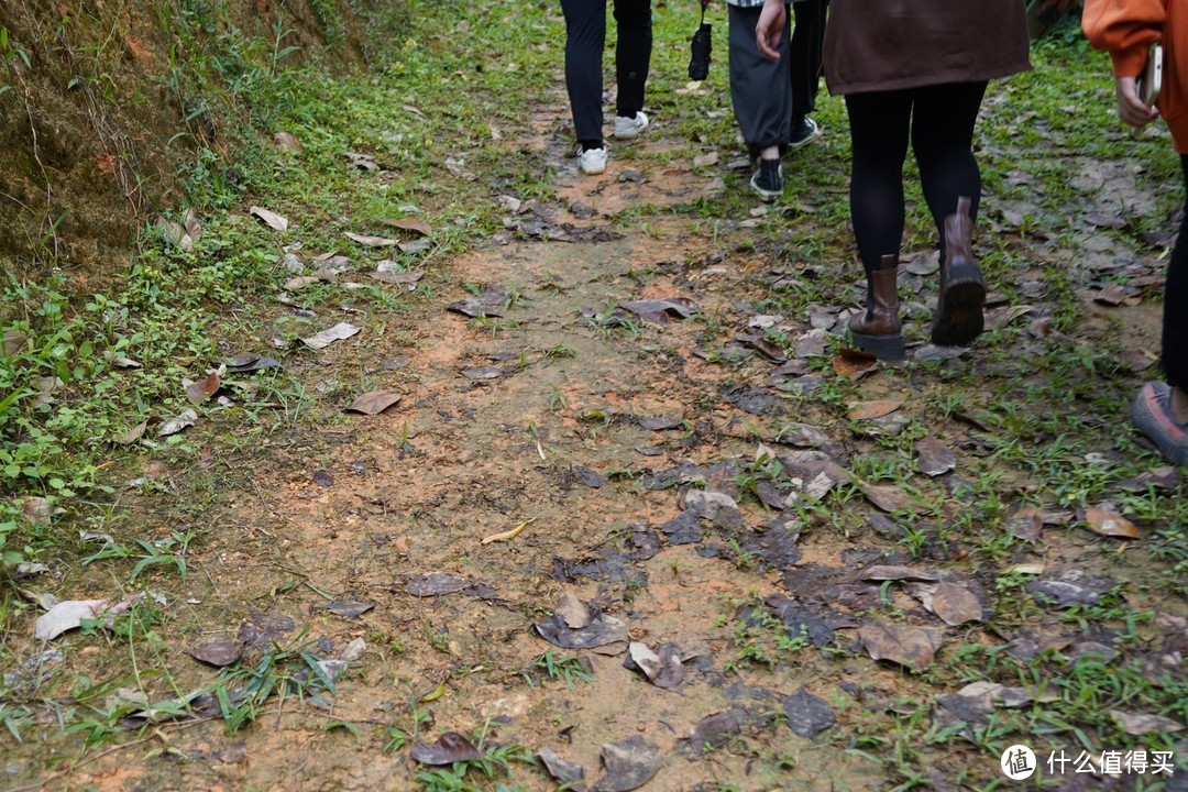 穿越北回归线之旅，我在普洱喝咖啡