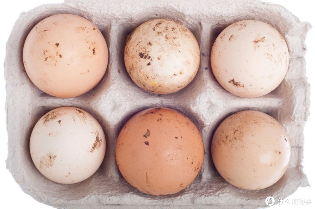 买鸡蛋，选红壳还是白壳的？记住“2不买”，选购好鸡蛋简单多了