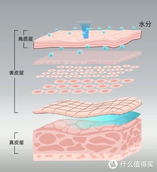 寒潮来了——冬季皮肤怎么护理？