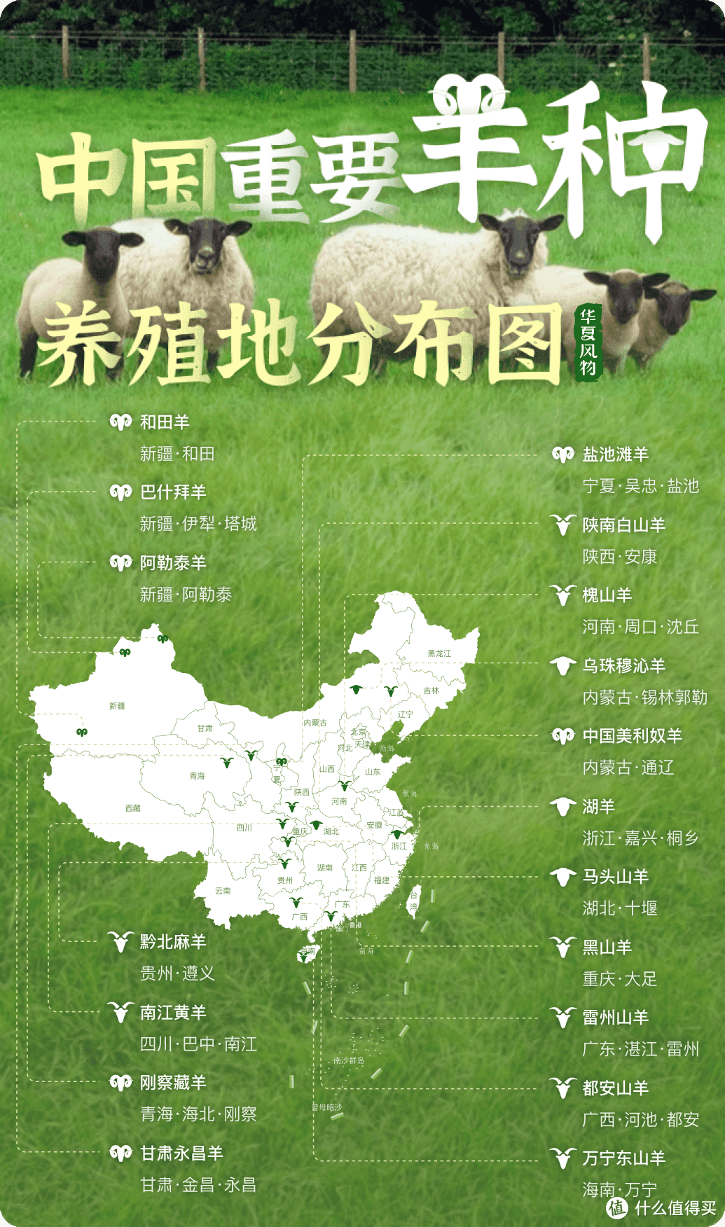 中国重要羊种养殖地分布图 ©华夏风物