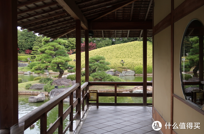 年末旅行总结-为数不多出国的团建大板赏红叶