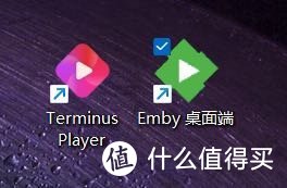 电脑上访问NAS别再用emby了，Terminus播放器同样强大！﻿