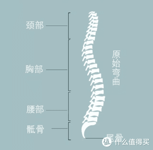 一文看懂人体工学椅选购要点（续），2000以内的工学椅不完全点评