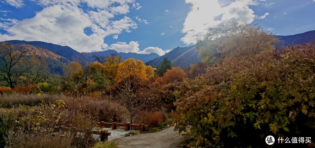 酒店周边都可以走走的，全是黄叶，风景还不错