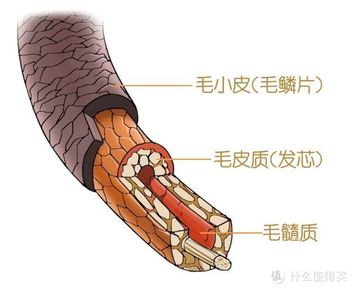 轻奢级体验，拯救你干枯受损的发丝——卡巴尔焕活原液