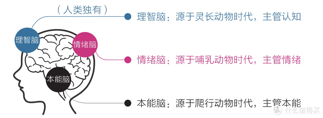 《认知觉醒》：别焦虑，安于享乐是人类的天性