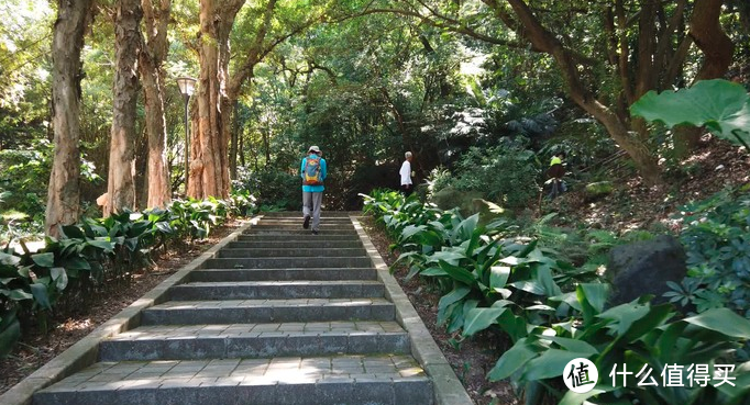 年度旅游小记录-桃园虎头山步道