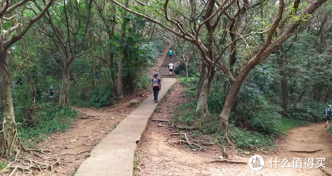 年度旅游小记录-桃园虎头山步道