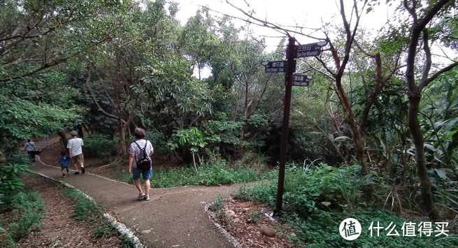 年度旅游小记录-桃园虎头山步道