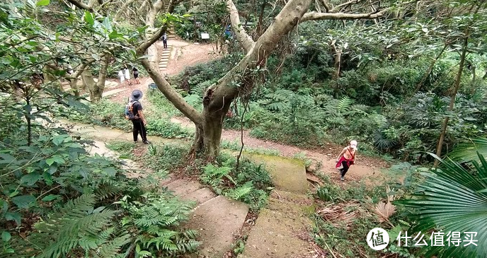 年度旅游小记录-桃园虎头山步道