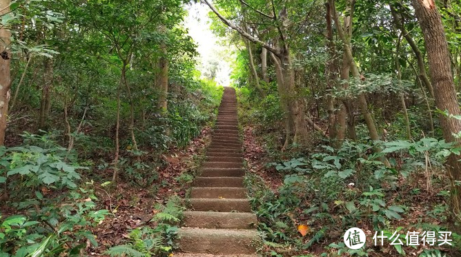 年度旅游小记录-桃园虎头山步道