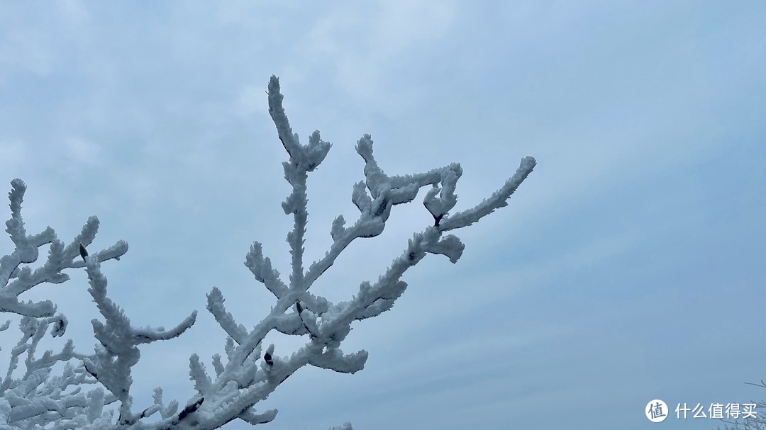 入冬的初雪，美不胜收