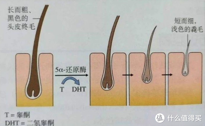 「测评」细软塌还作死，为了养好头发，详评这些年买过的网红洗发水，是雷是宝，全告诉你！