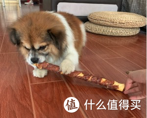 宠物圈 犬猫｜国货之光！宠物用品攻略～主粮、零食、用品，国货也有好货～～～