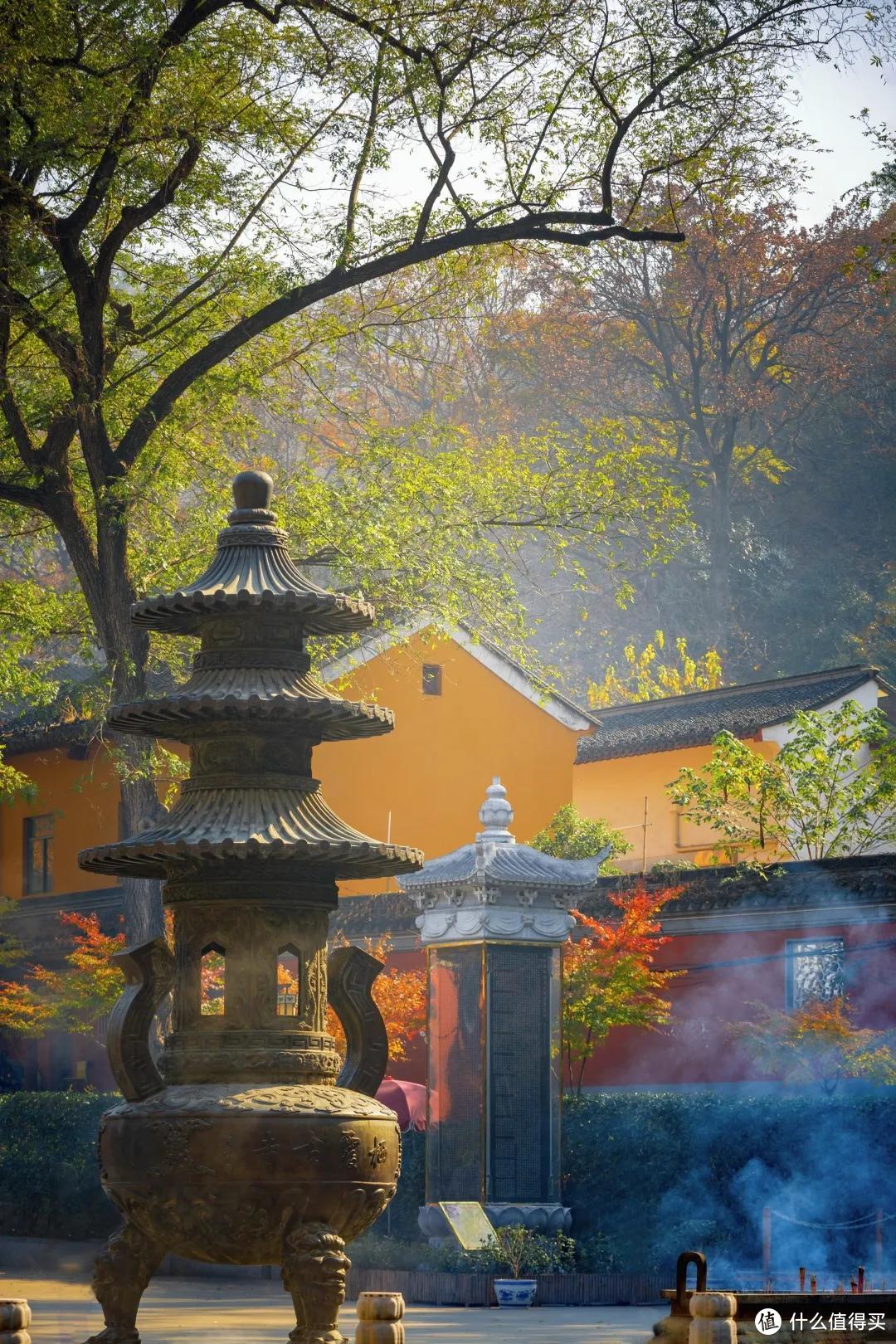 南京最美的四季风景，都藏在这里了！