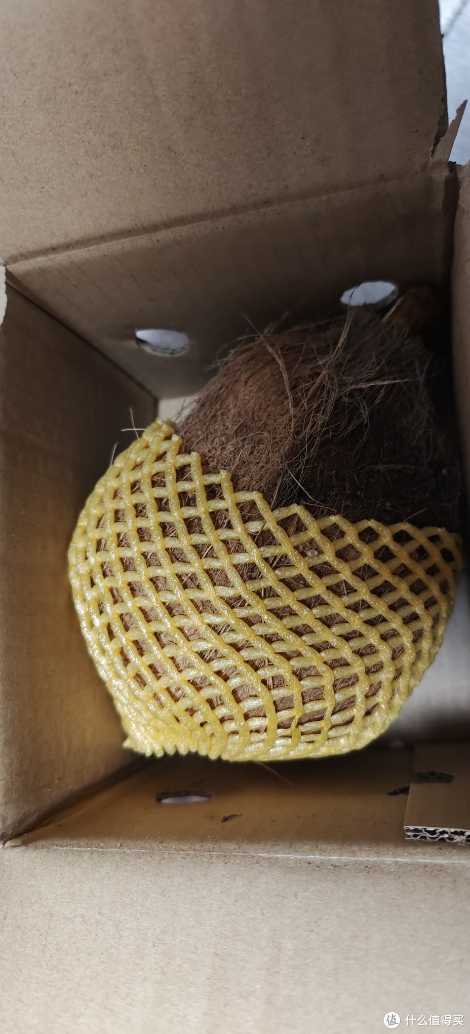 椰宝/椰子宝是个啥？海南椰宝新鲜水果椰皇椰子芯牛奶椰饼老椰子