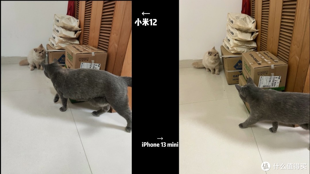 小米12与iPhone 13mini对比体验测评，小屏手机间的大对决