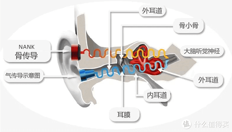 骨传导耳机的工作原理是?戴眼镜的是不是没办法用骨传导耳机?