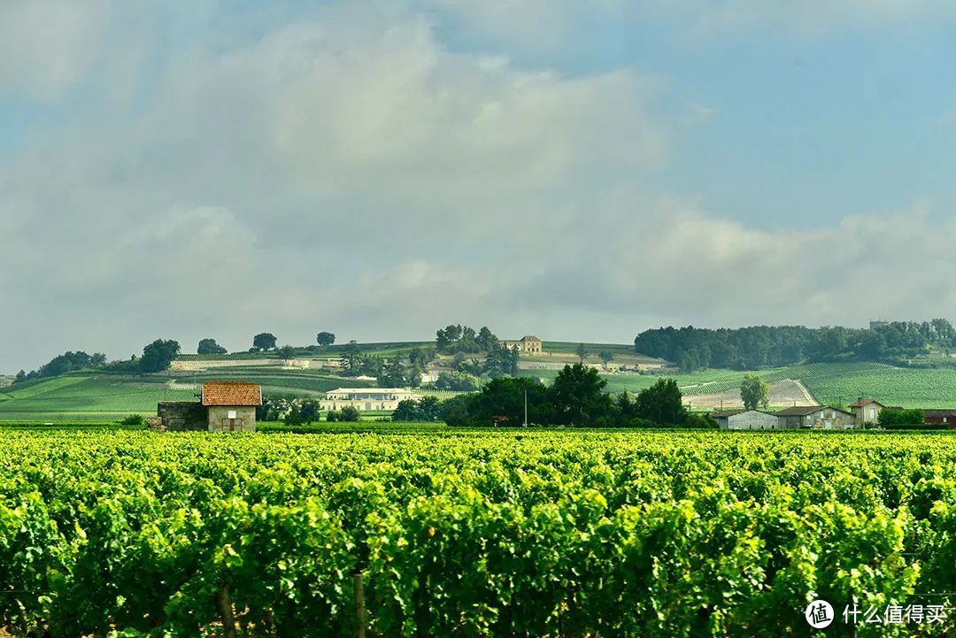 波尔多有十万公顷葡萄园，众多著名的酒庄。严格的品质监管制度使波尔多成为葡萄酒原产地的代名词。©图虫创意