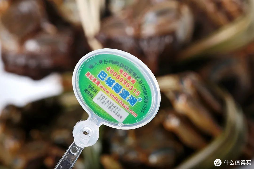 阳澄湖大闸蟹地标专用扣。©图虫创意