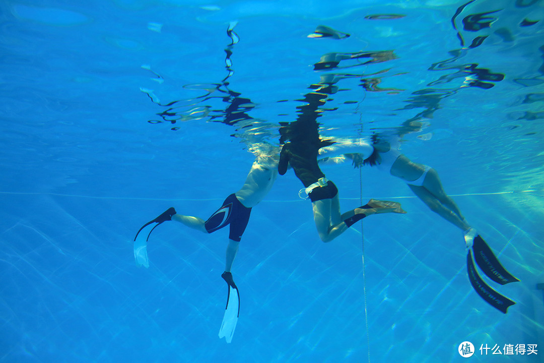 水下摄影：统一的色调，镜头记录潜水者曼妙的身姿