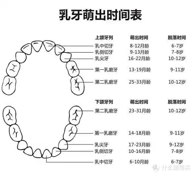 为了宝宝一生的幸福，养成良好的口腔习惯，必须从娃娃抓起