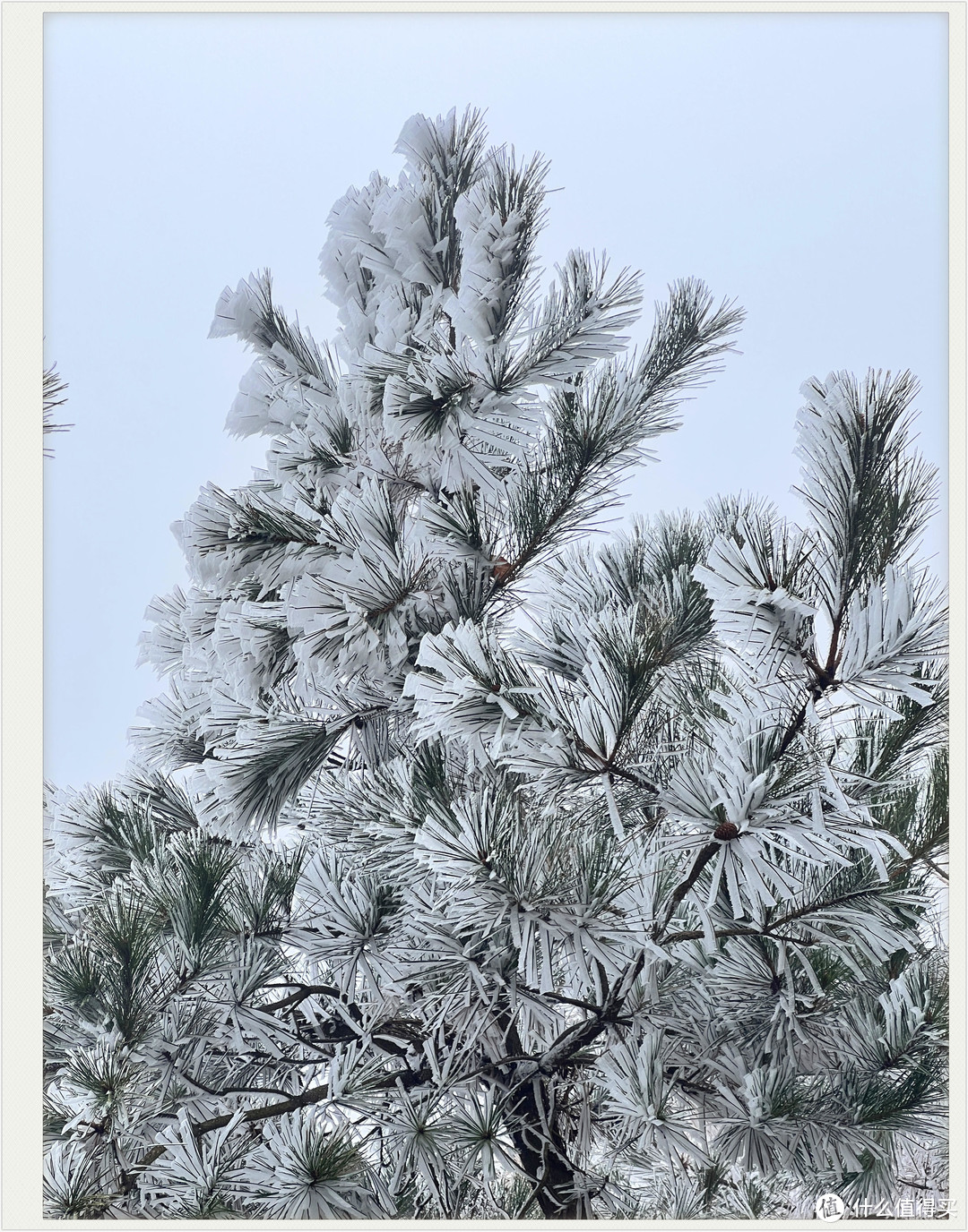 雪