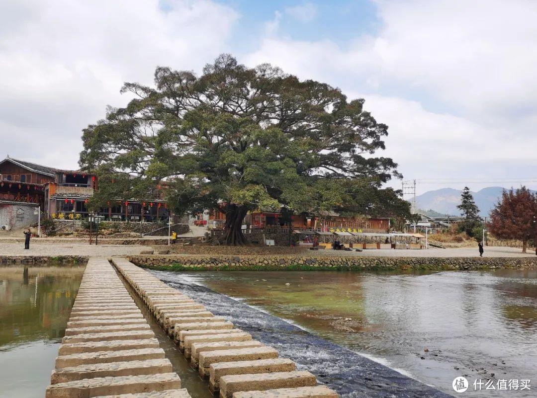 走进《大鱼海棠》，一文带你领略福建土楼