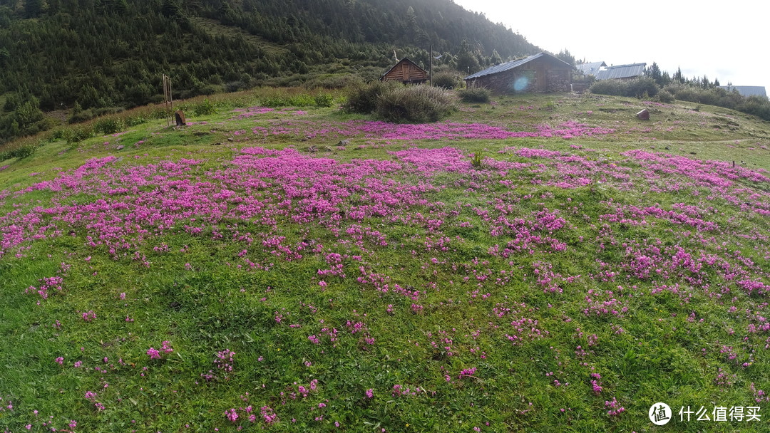 安地斯-菠萝650睡袋 半年 使用体验