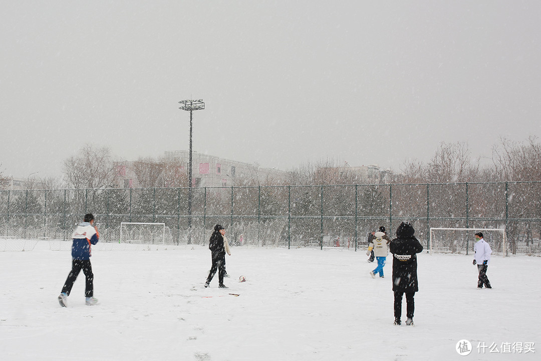 2022北京的雪如约而至，相机记录身边美景