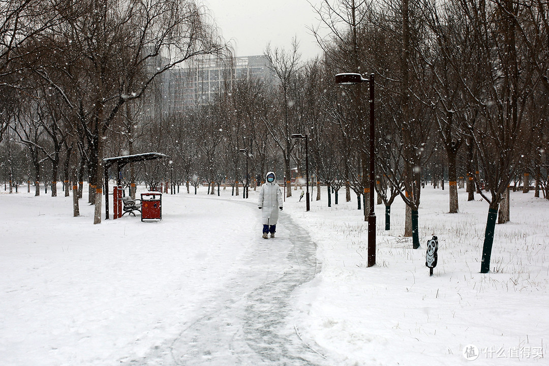 2022北京的雪如约而至，相机记录身边美景