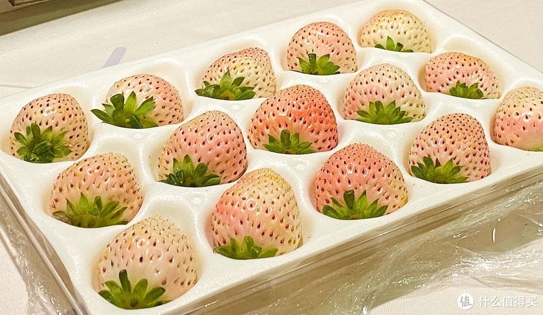 淡雪草莓 ©图虫创意
