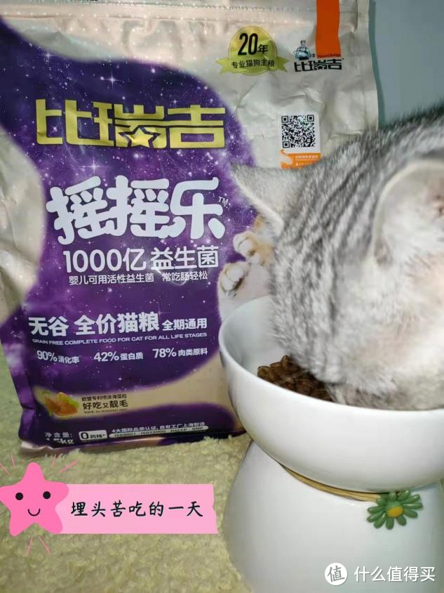 猫咪肠胃问题养大于治，千亿活菌的比瑞吉摇摇乐