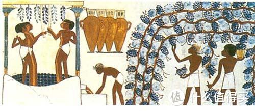 早在公元前1700年，埃及人就将完整的葡萄酒酿造流程刻画下来