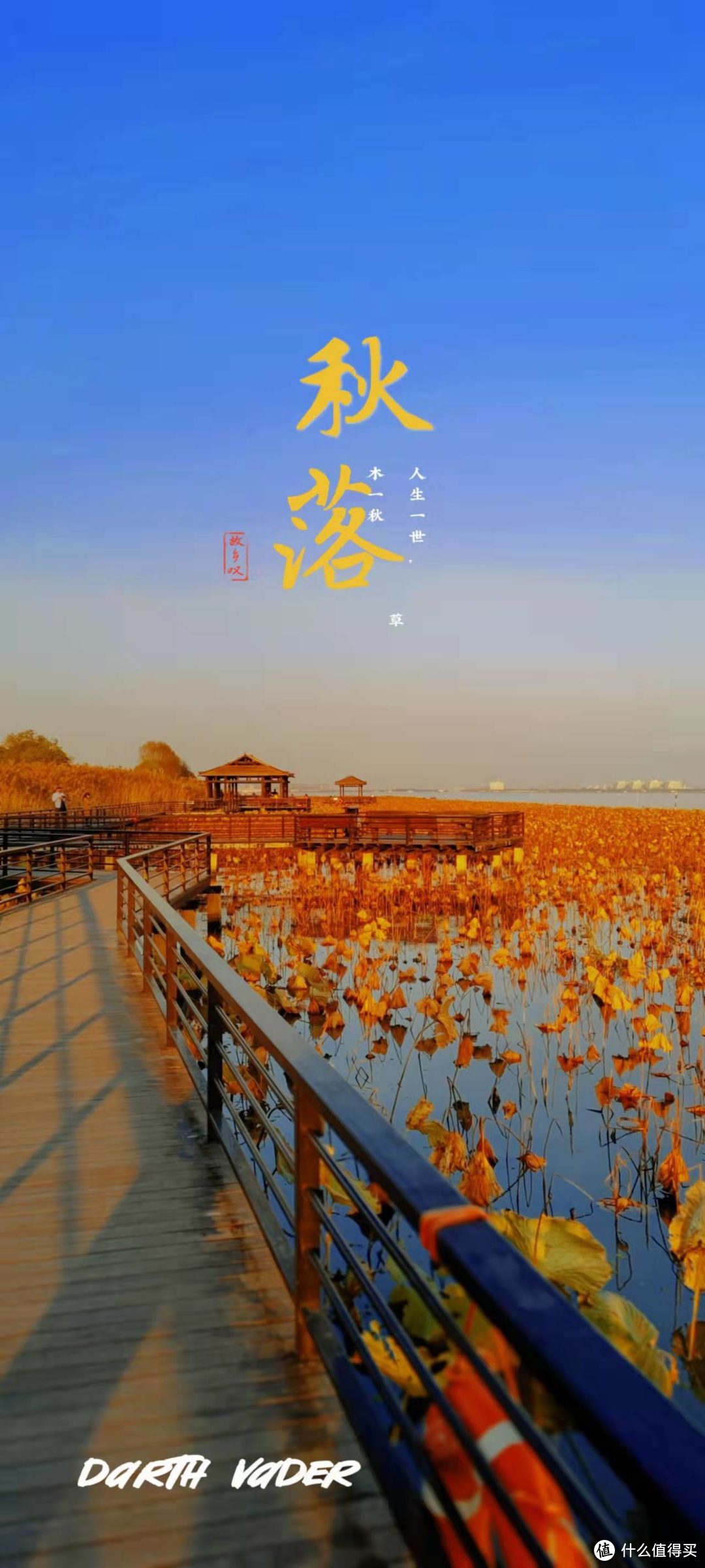 親水步道旁，夏荷悄悄枯黃，紅葉慢慢盛放，by Mi11