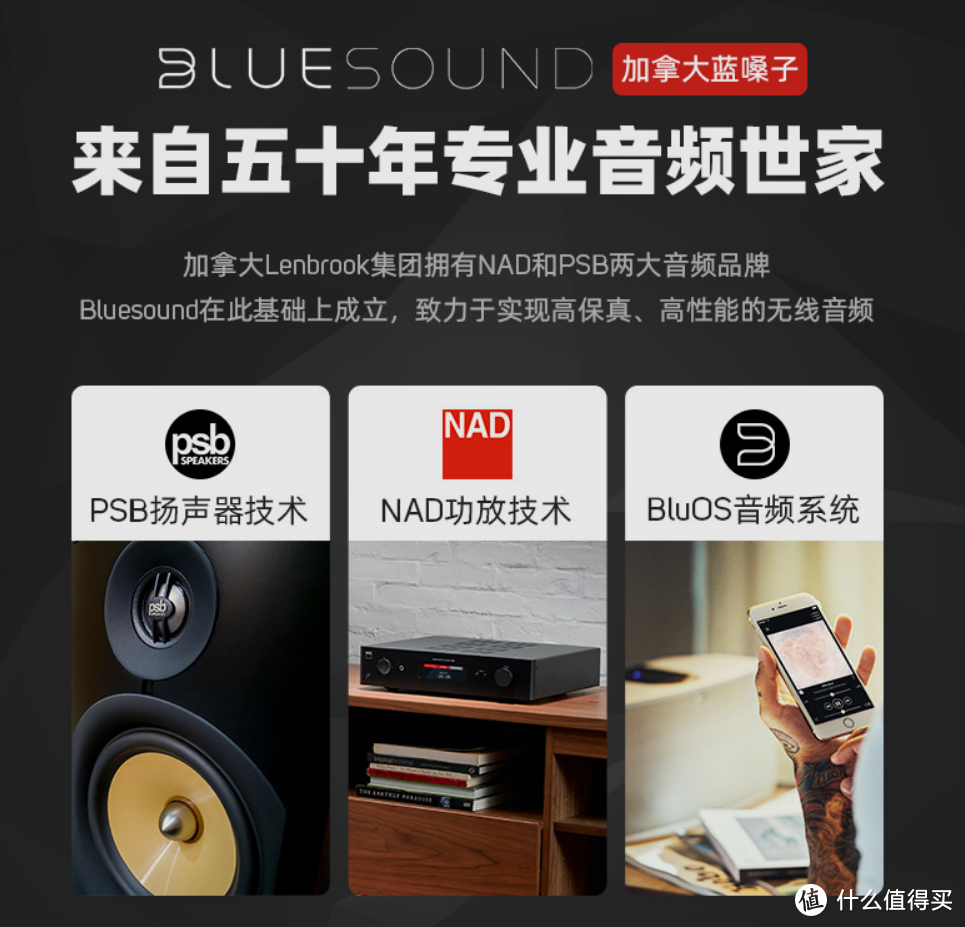 全能多面手，Bluesound PULSE FLEX 2i家用桌面音响