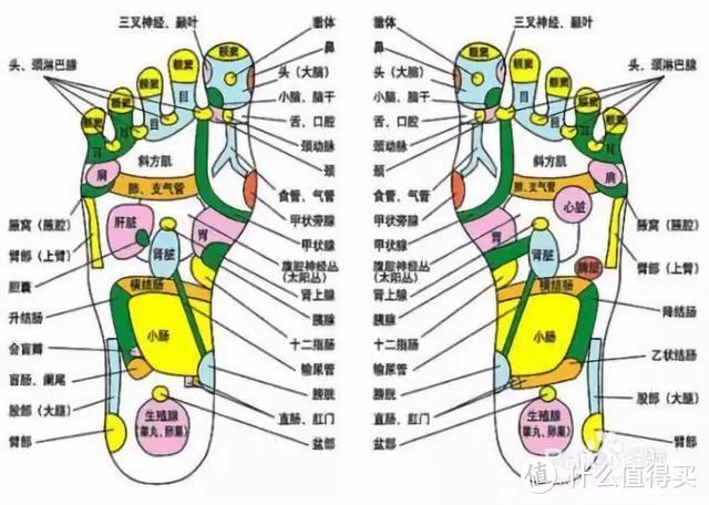 不懂泡脚别瞎泡，左点小仙足浴桶P7，自动按摩、恒温泡脚，让你酣睡整夜