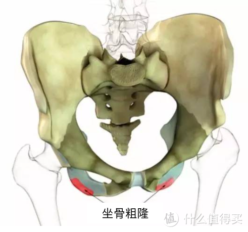 一骑公路车就pp疼，你的坐垫选对了吗？