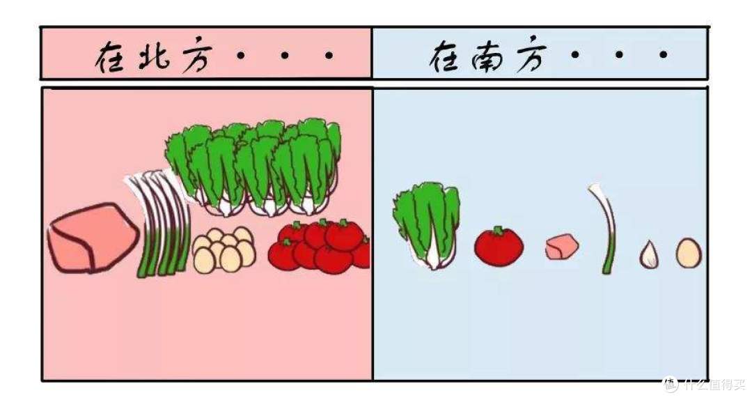 【南汤圆,北饺子?】南北饮食差异大比拼,还有哪些是你无法接受的?