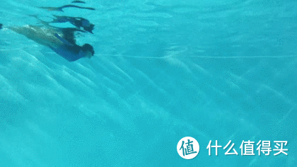 手机摄影来记录潜水与游泳间的运动差异