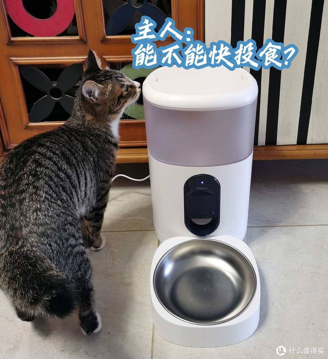 后疫情时代的喂食好帮手 Aqara 智能宠物喂食器c1 宠物用品 什么值得买 后疫情时代的喂食好帮手 Aqara 智能宠物喂食器c1 宠物用品 什么值得买