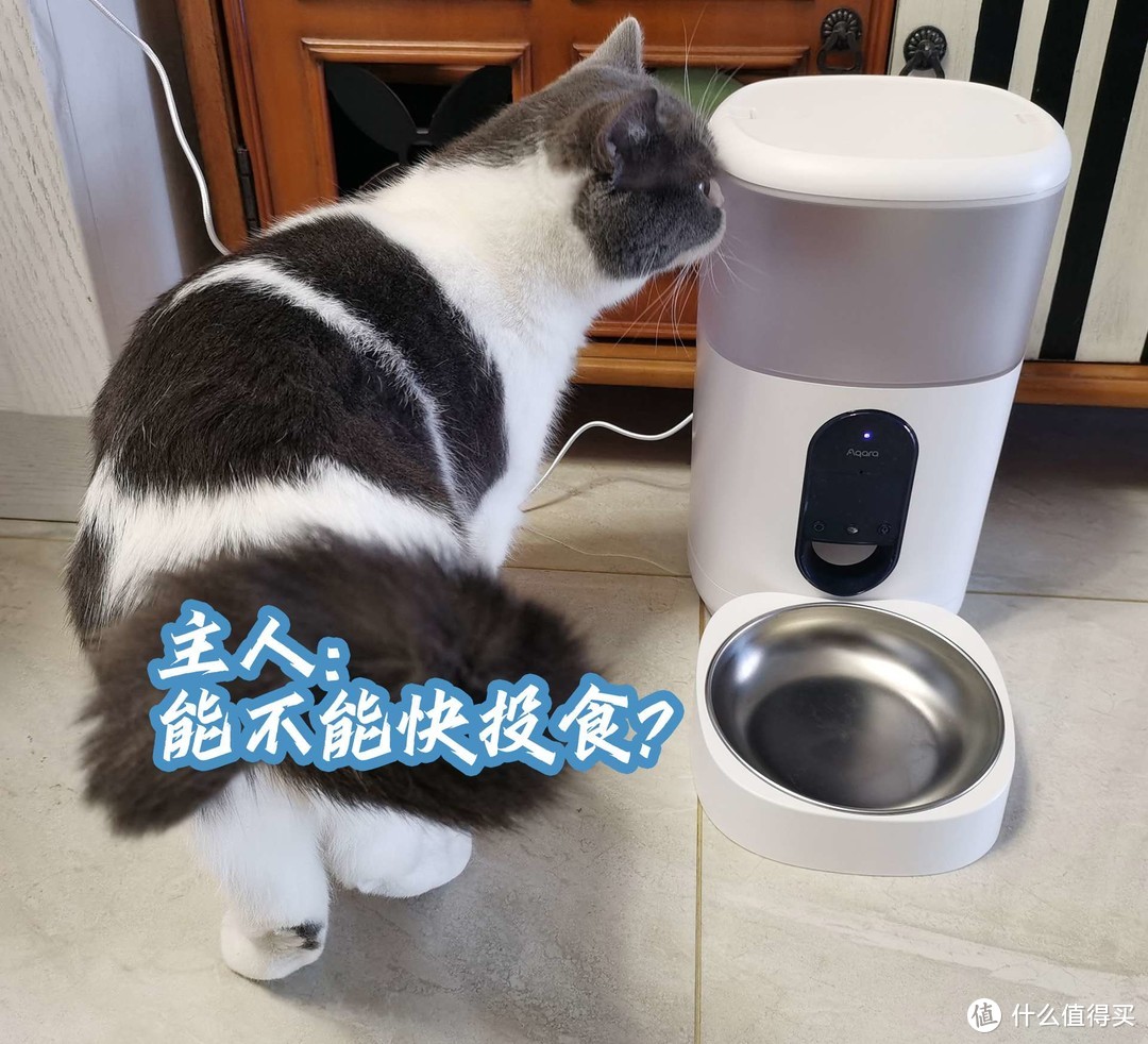 后疫情时代的喂食好帮手：Aqara 智能宠物喂食器 C1