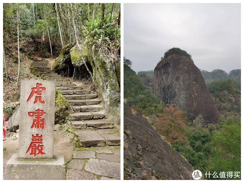 你知道世界上最贵的茶有多贵吗？一文带你游遍武夷山