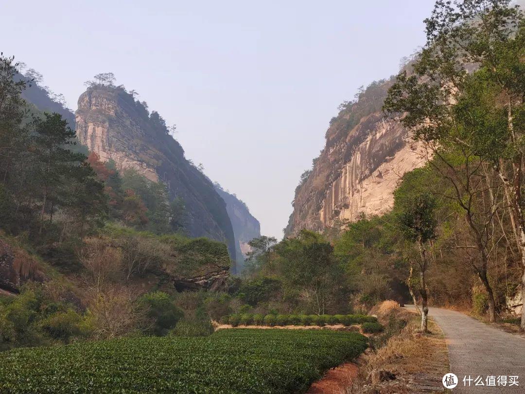 你知道世界上最贵的茶有多贵吗？一文带你游遍武夷山