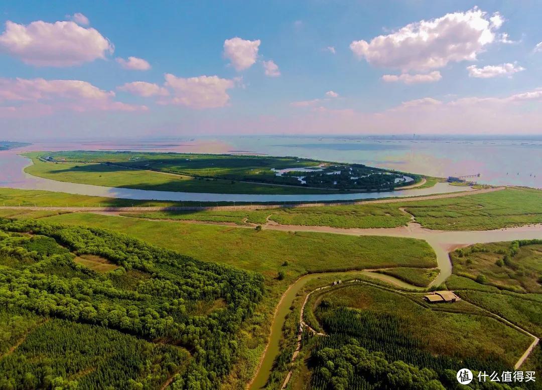 今天是“世界湿地日”，一起赏魔都湿地风光吧