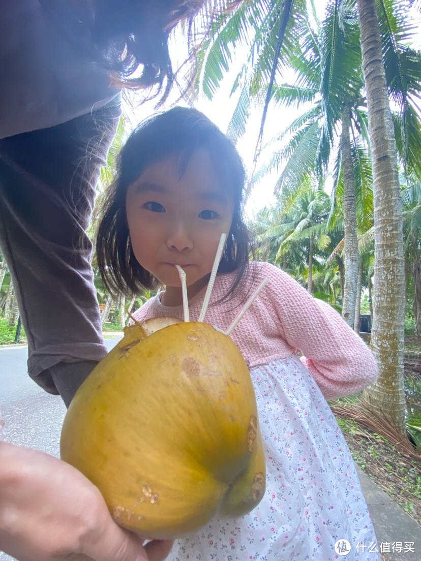 金椰贵一块