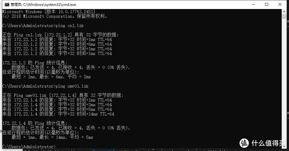 ZeroTier组网：使用zeronsd作为其私有网段DNS_软件应用_什么值得买