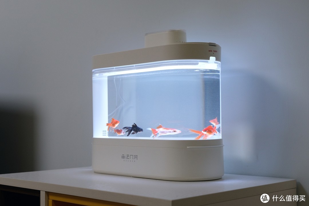小鱼缸也有高配置，画法几何智能两栖生态底滤缸初体验