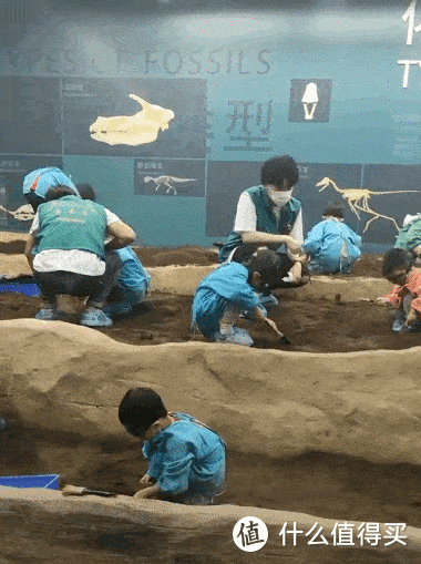 适合儿童参与的博物馆化石挖掘活动 ©网络