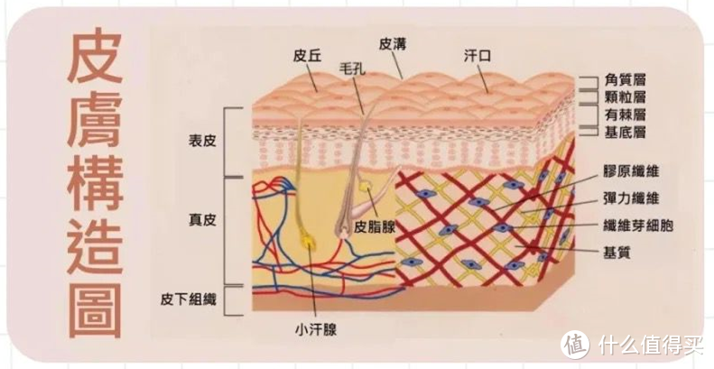 美容仪到底好不好用？护肤小干货&使用经验分享